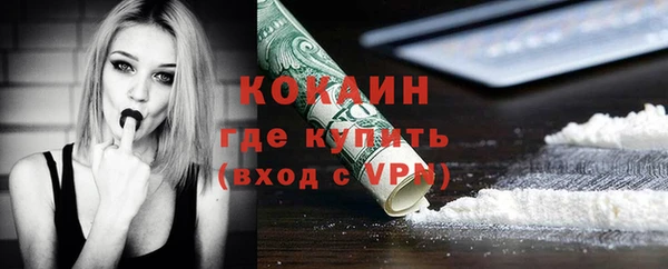 индика Армянск