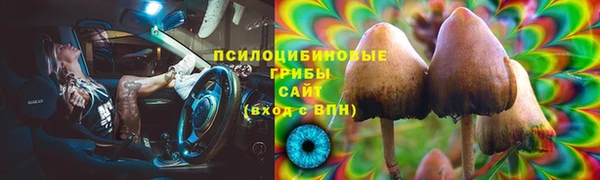 индика Армянск