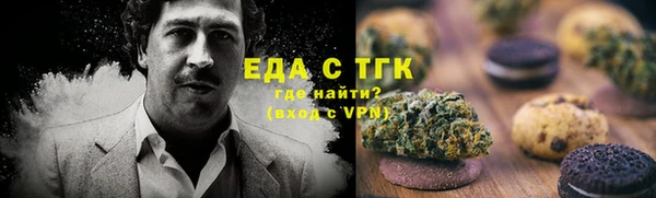 индика Армянск