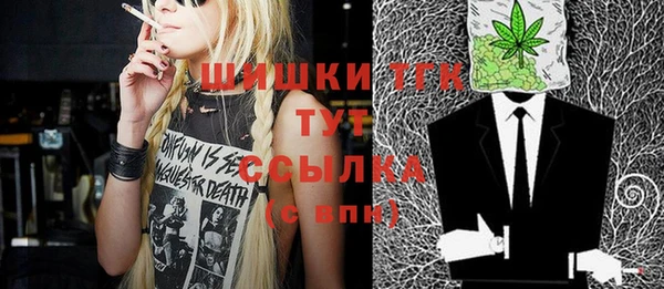 индика Армянск