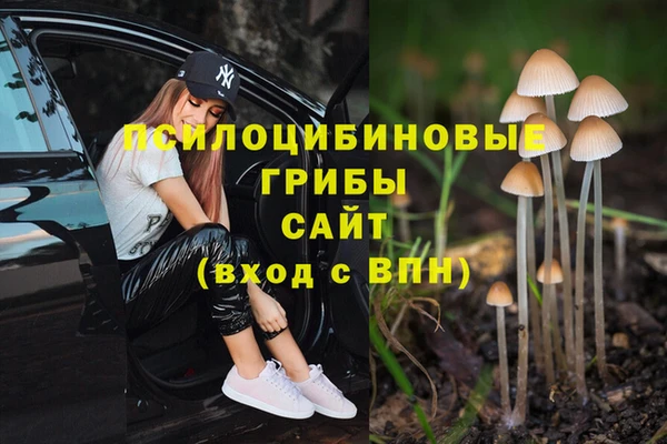 индика Армянск