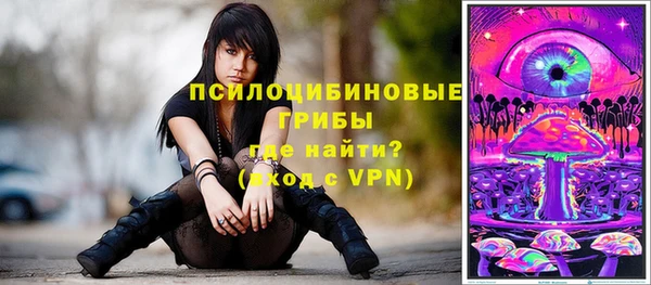индика Армянск