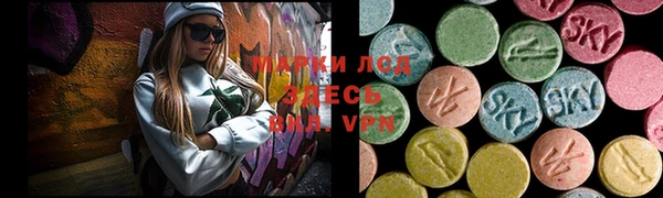 индика Армянск