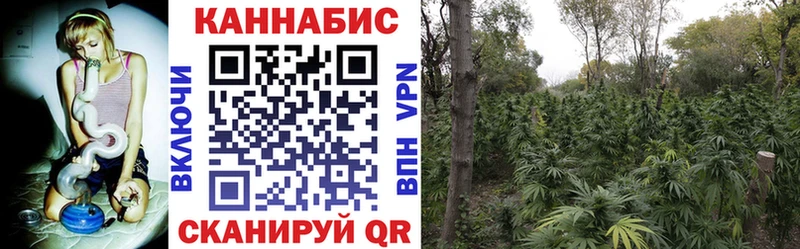Бошки марихуана THC 21%  дарк нет формула  Фролово  наркотики 